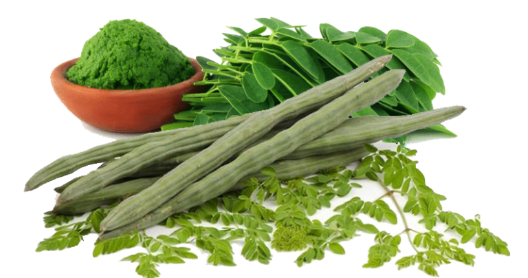 why-should-we-consume-moringa-everyday-jyovis